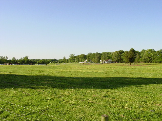 Evening Shade Farm Tennessee Walking Horses for Sale Pleasure and Trail Tennessee Walking Horse Pictures Videos